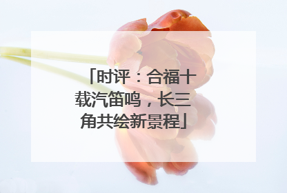 时评：合福十载汽笛鸣，长三角共绘新景程