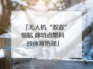 无人机“双赛”领航 廊坊点燃科技体育热潮