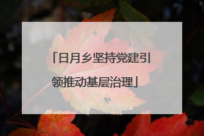 日月乡坚持党建引领推动基层治理