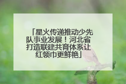 星火传递推动少先队事业发展！河北省打造联建共育体系让红领巾更鲜艳