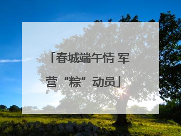 春城端午情 军营“粽”动员