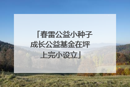 春雷公益小种子成长公益基金在坪上完小设立