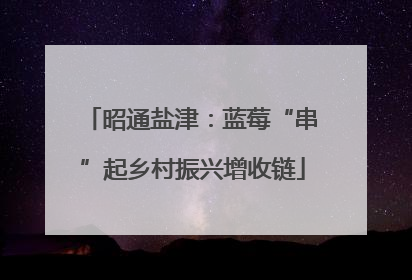 昭通盐津：蓝莓“串”起乡村振兴增收链