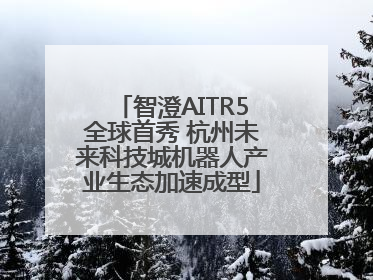 智澄AITR5全球首秀 杭州未来科技城机器人产业生态加速成型
