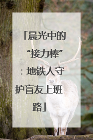 晨光中的“接力棒”：地铁人守护盲友上班路