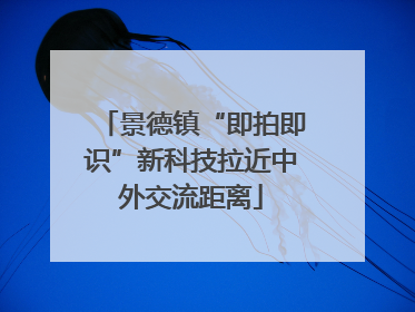 景德镇“即拍即识”新科技拉近中外交流距离