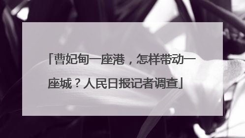曹妃甸一座港，怎样带动一座城？人民日报记者调查
