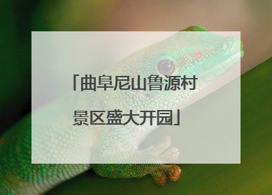 曲阜尼山鲁源村景区盛大开园