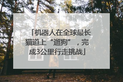 机器人在全球最长猫道上“遛狗”，完成3公里行走挑战