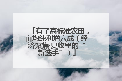 有了高标准农田，亩均纯利增六成（经济聚焦·夏收里的“新选手”）