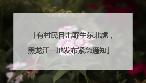 有村民目击野生东北虎，黑龙江一地发布紧急通知