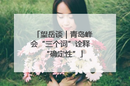 望岳谈｜青岛峰会“三个词”诠释“确定性”