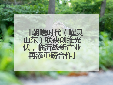 朝曦时代（曜灵山东）联袂创维光伏，临沂战新产业再添重磅合作