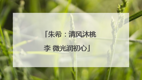 朱希：清风沐桃李 微光润初心