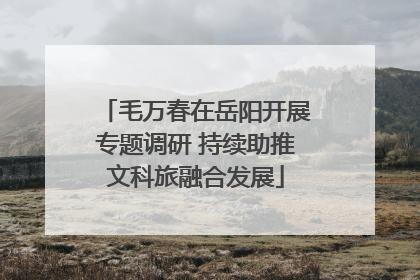 毛万春在岳阳开展专题调研 持续助推文科旅融合发展