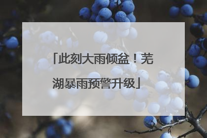 此刻大雨倾盆！芜湖暴雨预警升级