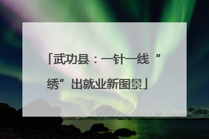 武功县：一针一线“绣”出就业新图景