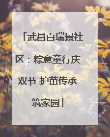 武昌百瑞景社区：粽意童行庆双节 护苗传承筑家园