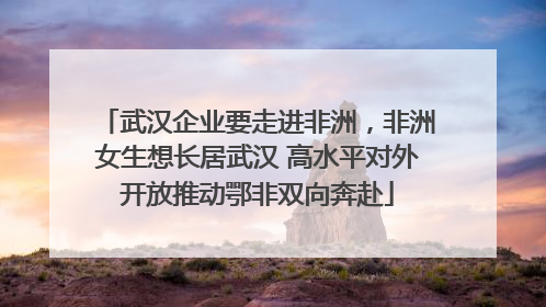 武汉企业要走进非洲，非洲女生想长居武汉 高水平对外开放推动鄂非双向奔赴