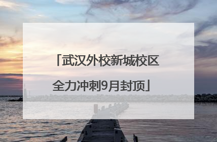 武汉外校新城校区全力冲刺9月封顶