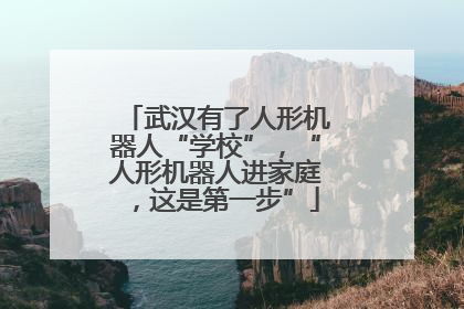 武汉有了人形机器人“学校”，“人形机器人进家庭，这是第一步”