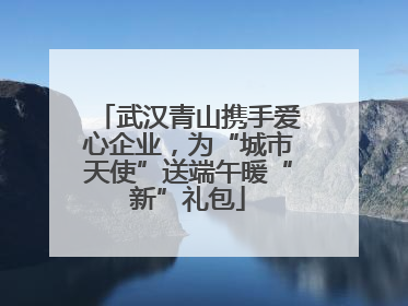 武汉青山携手爱心企业，为“城市天使”送端午暖“新”礼包