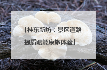 桂东新坊：景区道路提质赋能康旅体验