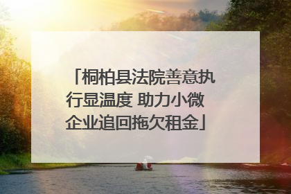 桐柏县法院善意执行显温度 助力小微企业追回拖欠租金