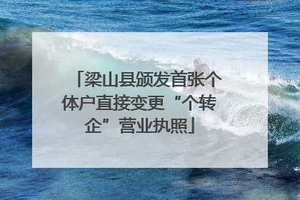 梁山县颁发首张个体户直接变更“个转企”营业执照