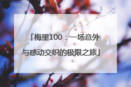 梅里100：一场意外与感动交织的极限之旅
