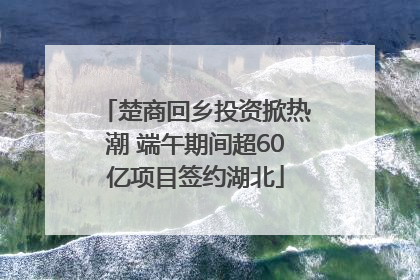 楚商回乡投资掀热潮 端午期间超60亿项目签约湖北