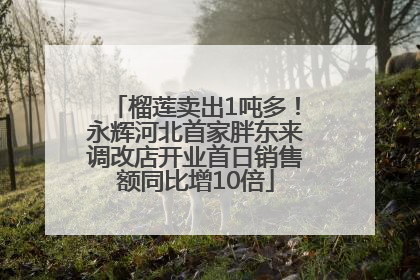 榴莲卖出1吨多！永辉河北首家胖东来调改店开业首日销售额同比增10倍