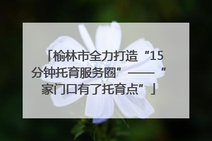 榆林市全力打造“15分钟托育服务圈”——“家门口有了托育点”