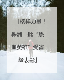 榜样力量！株洲一批“热血英雄”受省级表彰
