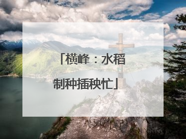 横峰：水稻制种插秧忙