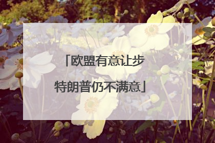 欧盟有意让步 特朗普仍不满意