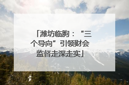 潍坊临朐：“三个导向”引领财会监督走深走实