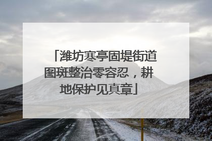 潍坊寒亭固堤街道图斑整治零容忍，耕地保护见真章