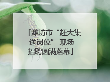 潍坊市“赶大集 送岗位” 现场招聘圆满落幕