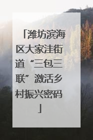 潍坊滨海区大家洼街道“三包三联”激活乡村振兴密码