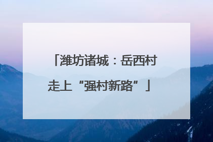 潍坊诸城：岳西村走上“强村新路”