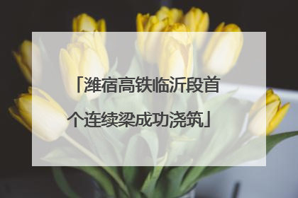潍宿高铁临沂段首个连续梁成功浇筑