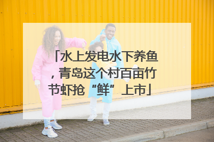 水上发电水下养鱼，青岛这个村百亩竹节虾抢“鲜”上市