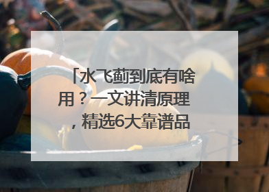 水飞蓟到底有啥用？一文讲清原理，精选6大靠谱品牌助你科学养生