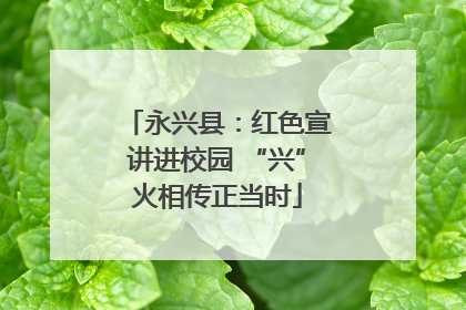 永兴县：红色宣讲进校园 “兴”火相传正当时