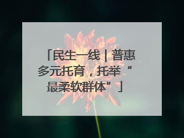 民生一线｜普惠多元托育，托举“最柔软群体”