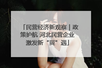 民营经济新观察｜政策护航 河北民营企业激发新“冀”遇
