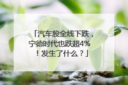 汽车股全线下跌，宁德时代也跌超4%！发生了什么？