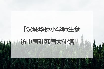 汉城华侨小学师生参访中国驻韩国大使馆