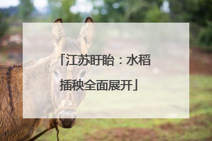 江苏盱眙：水稻插秧全面展开